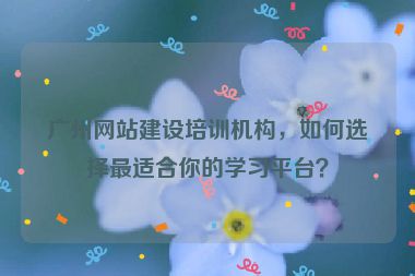 廣州網(wǎng)站建設(shè)培訓(xùn)機(jī)構(gòu)，如何選擇最適合你的學(xué)習(xí)平臺？