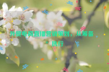 外貿(mào)電商直播營(yíng)銷策劃，從籌備到執(zhí)行