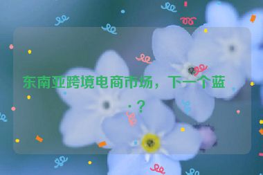 東南亞跨境電商市場，下一個藍海？