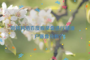 如何利用百度觀星盤進(jìn)行精準(zhǔn)用戶畫像分析？