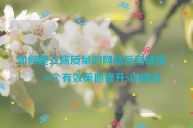 如何建立高質(zhì)量的網(wǎng)站反向鏈接？10個有效策略提升SEO排名