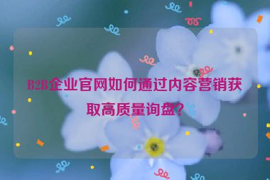 B2B企業(yè)官網(wǎng)如何通過內(nèi)容營銷獲取高質(zhì)量詢盤？