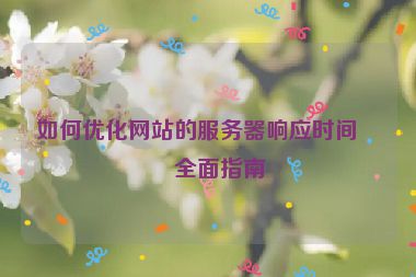 如何優(yōu)化網(wǎng)站的服務(wù)器響應(yīng)時間，全面指南