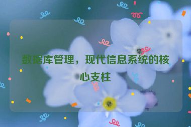 數(shù)據(jù)庫管理，現(xiàn)代信息系統(tǒng)的核心支柱