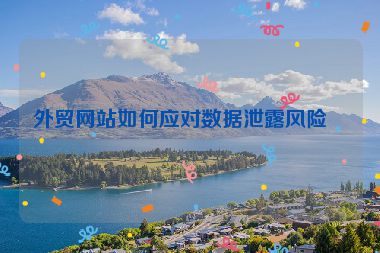 外貿(mào)網(wǎng)站如何應(yīng)對數(shù)據(jù)泄露風(fēng)險？