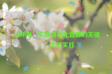 API開發(fā)，實現(xiàn)自動化管理的關(guān)鍵技術(shù)與實踐