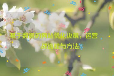 基于數(shù)據(jù)的網(wǎng)站優(yōu)化決策，運營實戰(zhàn)流程與方法