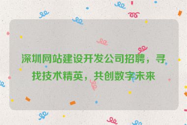 深圳網(wǎng)站建設開發(fā)公司招聘，尋找技術精英，共創(chuàng)數(shù)字未來
