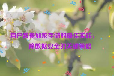 用戶數(shù)據(jù)加密存儲(chǔ)的最佳實(shí)踐，保障數(shù)據(jù)安全的關(guān)鍵策略