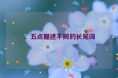 、五點(diǎn)描述不同的長(zhǎng)尾詞