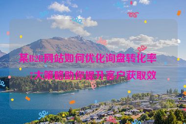 某B2B網(wǎng)站如何優(yōu)化詢盤轉(zhuǎn)化率？7大策略助你提升客戶獲取效率