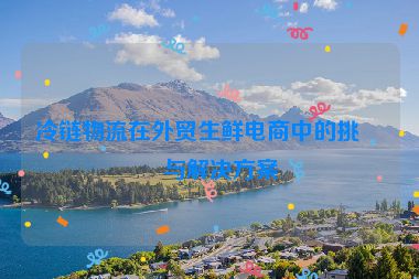 冷鏈物流在外貿(mào)生鮮電商中的挑戰(zhàn)與解決方案