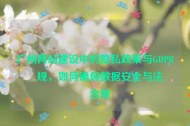 廣州網(wǎng)站建設(shè)中的隱私政策與GDPR合規(guī)，如何確保數(shù)據(jù)安全與法律合規(guī)