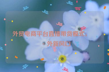 外貿(mào)電商平臺(tái)直播帶貨模式，海外新風(fēng)口