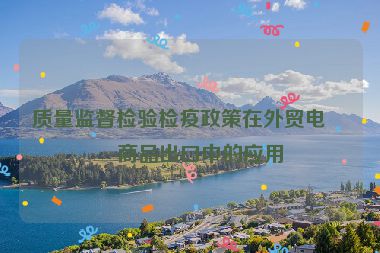 質(zhì)量監(jiān)督檢驗檢疫政策在外貿(mào)電商商品出口中的應用