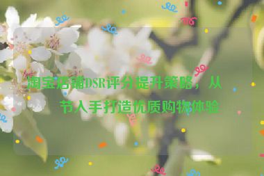 淘寶店鋪DSR評分提升策略，從細節(jié)入手打造優(yōu)質購物體驗