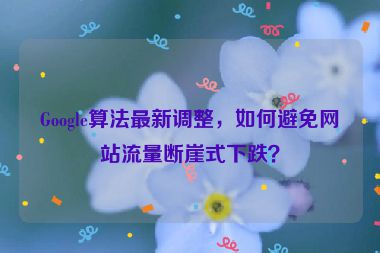 Google算法最新調(diào)整，如何避免網(wǎng)站流量斷崖式下跌？