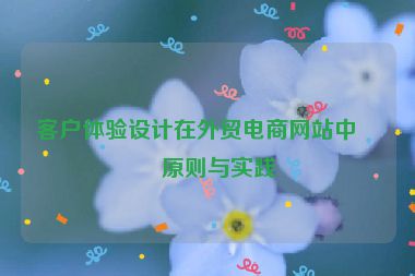 客戶體驗設計在外貿(mào)電商網(wǎng)站中的原則與實踐
