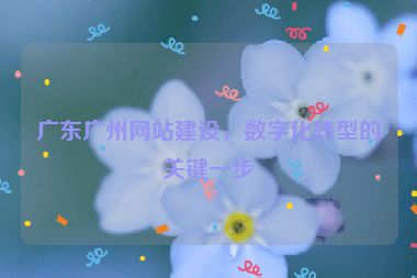 廣東廣州網(wǎng)站建設(shè)，數(shù)字化轉(zhuǎn)型的關(guān)鍵一步