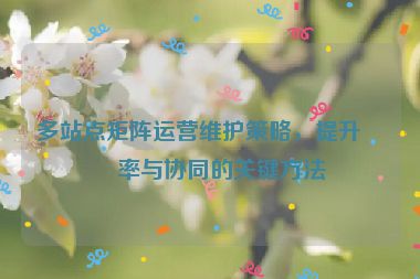 多站點(diǎn)矩陣運(yùn)營(yíng)維護(hù)策略，提升效率與協(xié)同的關(guān)鍵方法