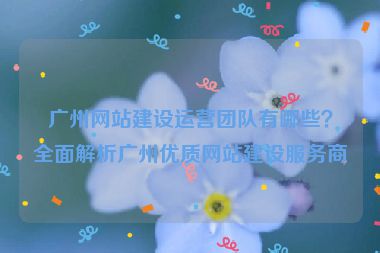 廣州網(wǎng)站建設(shè)運(yùn)營團(tuán)隊有哪些？全面解析廣州優(yōu)質(zhì)網(wǎng)站建設(shè)服務(wù)商