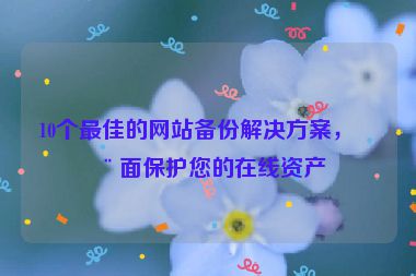 10個(gè)最佳的網(wǎng)站備份解決方案，全面保護(hù)您的在線資產(chǎn)