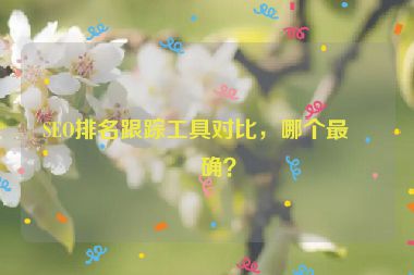 SEO排名跟蹤工具對(duì)比，哪個(gè)最準(zhǔn)確？