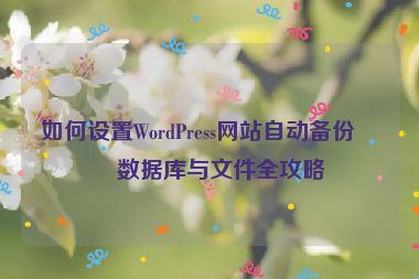 如何設(shè)置WordPress網(wǎng)站自動(dòng)備份，數(shù)據(jù)庫與文件全攻略