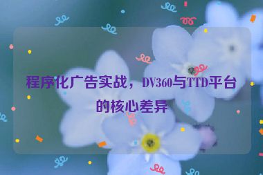 程序化廣告實(shí)戰(zhàn)，DV360與TTD平臺(tái)的核心差異