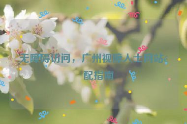 無障礙訪問，廣州視障人士網(wǎng)站適配指南