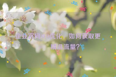 企業(yè)官網(wǎng)SEO優(yōu)化，如何獲取更多精準(zhǔn)流量？