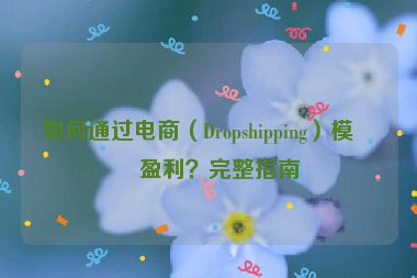 如何通過電商（Dropshipping）模式盈利？完整指南