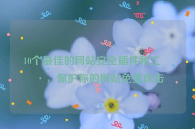 10個最佳的網(wǎng)站安全插件和工具，保護你的網(wǎng)站免受攻擊