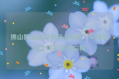 佛山網(wǎng)站建設(shè)項(xiàng)目全解析，從策劃到上線的完整指南