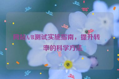 網(wǎng)站A/B測(cè)試實(shí)施指南，提升轉(zhuǎn)化率的科學(xué)方法