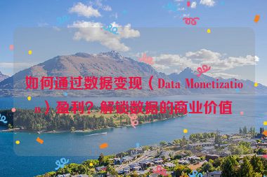如何通過數(shù)據(jù)變現(xiàn)（Data Monetization）盈利？解鎖數(shù)據(jù)的商業(yè)價(jià)值