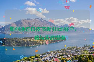 如何通過白皮書吸引B2B客戶，策略與實戰(zhàn)指南