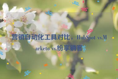 營(yíng)銷自動(dòng)化工具對(duì)比，HubSpot vs.Marketo vs.紛享銷客