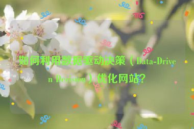 如何利用數(shù)據(jù)驅(qū)動(dòng)決策（Data-Driven Decision）優(yōu)化網(wǎng)站？