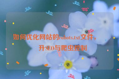 如何優(yōu)化網(wǎng)站的robots.txt文件，提升SEO與爬蟲控制