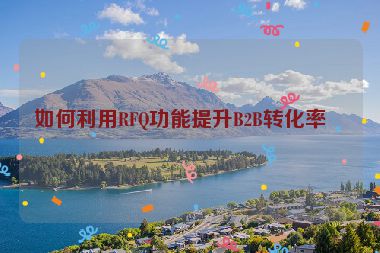 如何利用RFQ功能提升B2B轉(zhuǎn)化率？