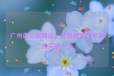 廣州白云做網(wǎng)站，打造數(shù)字化未來(lái)的關(guān)鍵一步