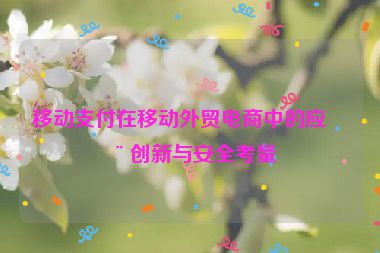 移動支付在移動外貿(mào)電商中的應用創(chuàng)新與安全考量