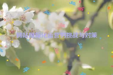 網(wǎng)站國(guó)際化運(yùn)營(yíng)的挑戰(zhàn)與對(duì)策