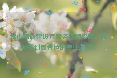 佛山網(wǎng)站建設(shè)方案咨詢師招聘，如何找到最合適的專業(yè)人才？