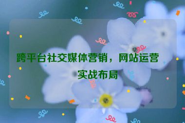 跨平臺社交媒體營銷，網(wǎng)站運營的實戰(zhàn)布局