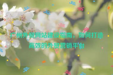 廣州外貿(mào)網(wǎng)站建設(shè)指南，如何打造高效的外貿(mào)營銷平臺
