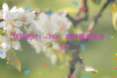 亞馬遜FBA vs FBM，哪種模式更適合你？