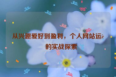 從興趣愛好到盈利，個(gè)人網(wǎng)站運(yùn)營(yíng)的實(shí)戰(zhàn)探索