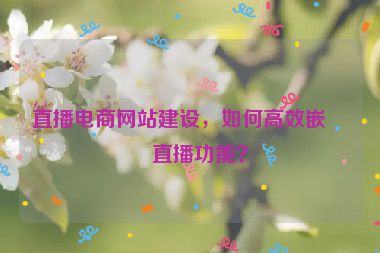 直播電商網(wǎng)站建設(shè)，如何高效嵌入直播功能？